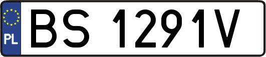 BS1291V
