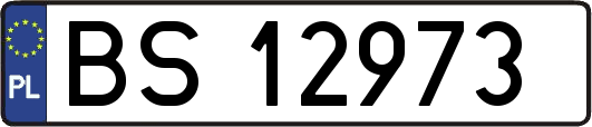 BS12973
