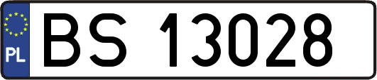 BS13028