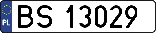 BS13029