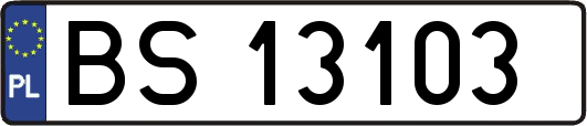 BS13103