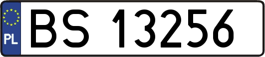 BS13256