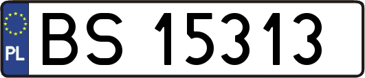 BS15313
