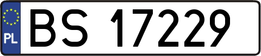 BS17229