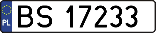 BS17233