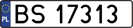 BS17313