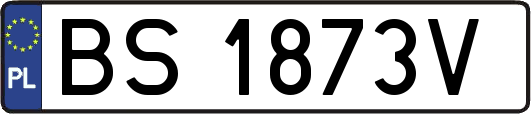 BS1873V
