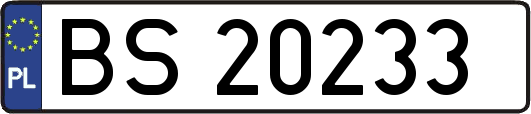 BS20233