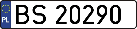 BS20290