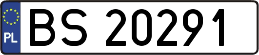 BS20291