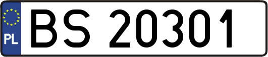 BS20301