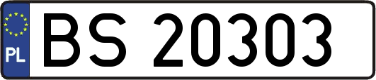 BS20303