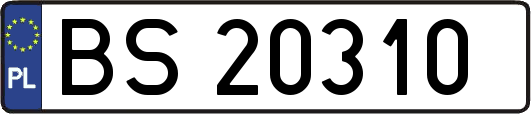 BS20310