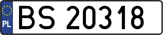 BS20318