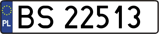 BS22513
