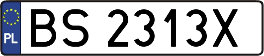 BS2313X