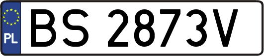 BS2873V