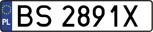 BS2891X