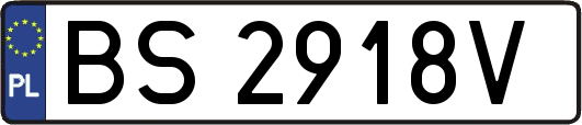BS2918V
