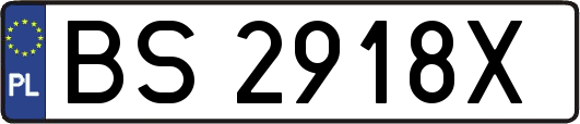 BS2918X