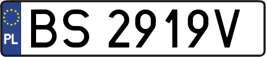 BS2919V