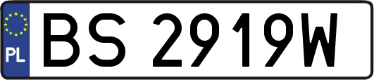 BS2919W