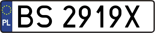 BS2919X