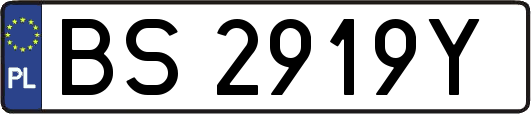 BS2919Y
