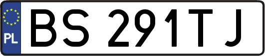 BS291TJ