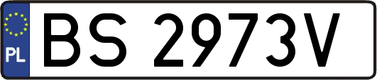 BS2973V