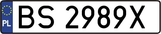 BS2989X