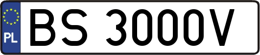 BS3000V
