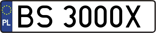 BS3000X