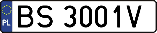 BS3001V
