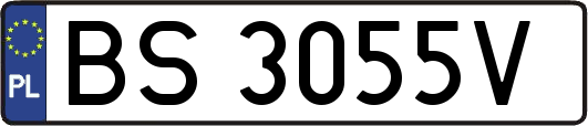 BS3055V