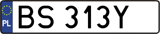 BS313Y