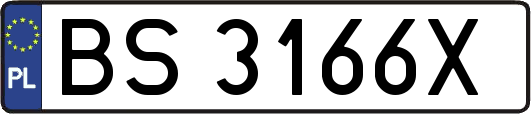 BS3166X