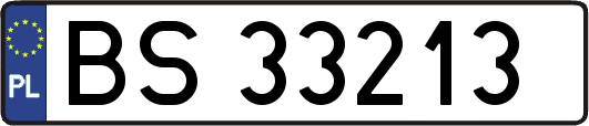 BS33213