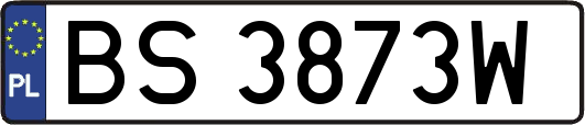 BS3873W