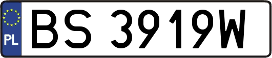 BS3919W