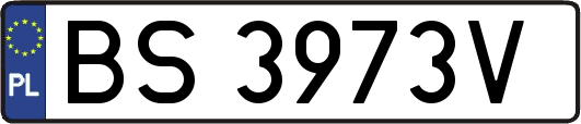 BS3973V
