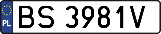 BS3981V