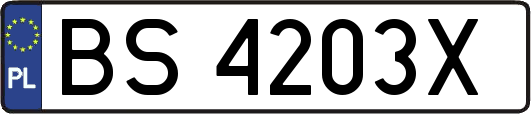 BS4203X