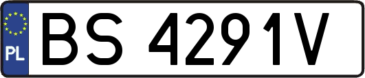 BS4291V