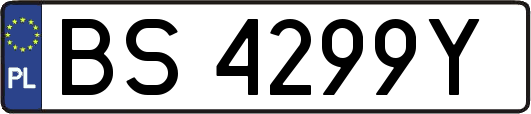 BS4299Y