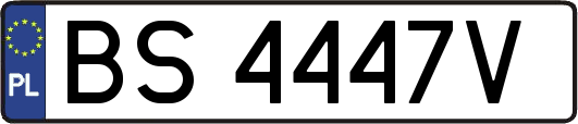 BS4447V