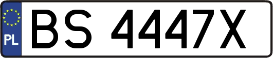 BS4447X