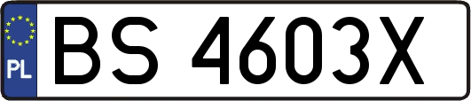 BS4603X