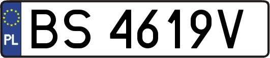 BS4619V