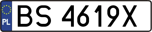 BS4619X